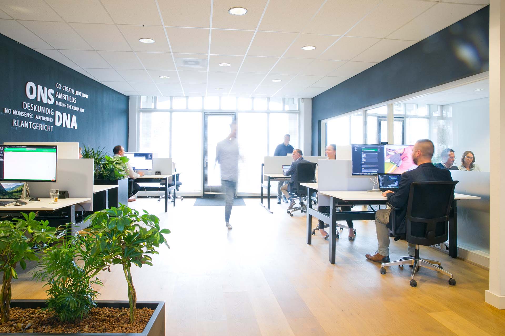 Indeqa Office
